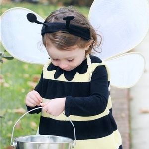 Pottery Barn Kids Toddler Bee Costume